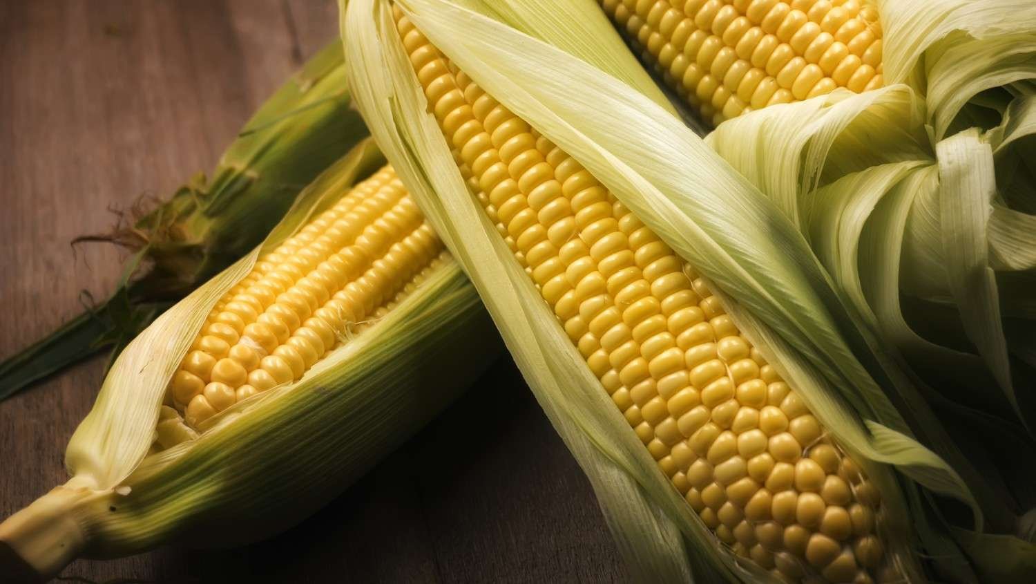 FPO Corn